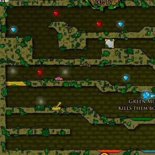 Fireboy and Watergirl in The Forest Temple